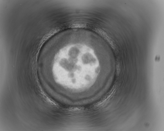 X0000098220721200805151316