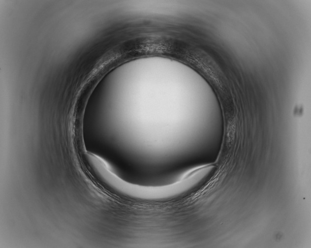 X0000098220722200805151316