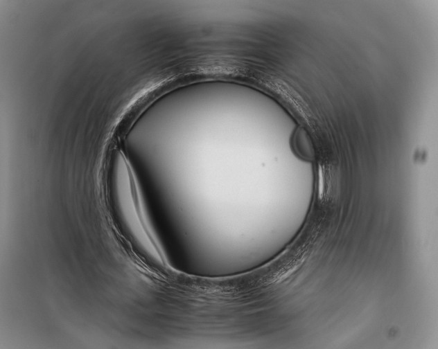 X0000098220723200805151316