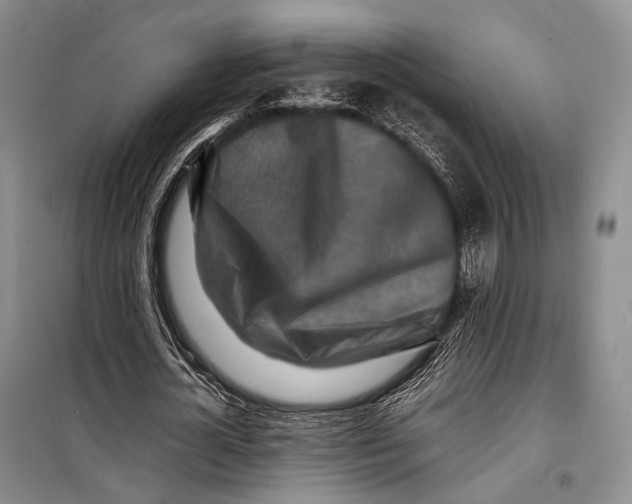 X0000098220724200805151317