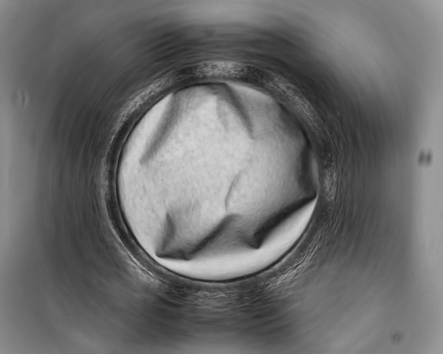 X0000098220725200805151317