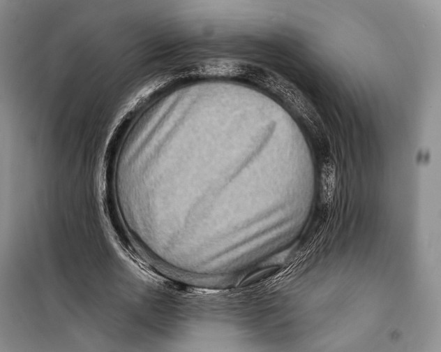 X0000098220726200805151317