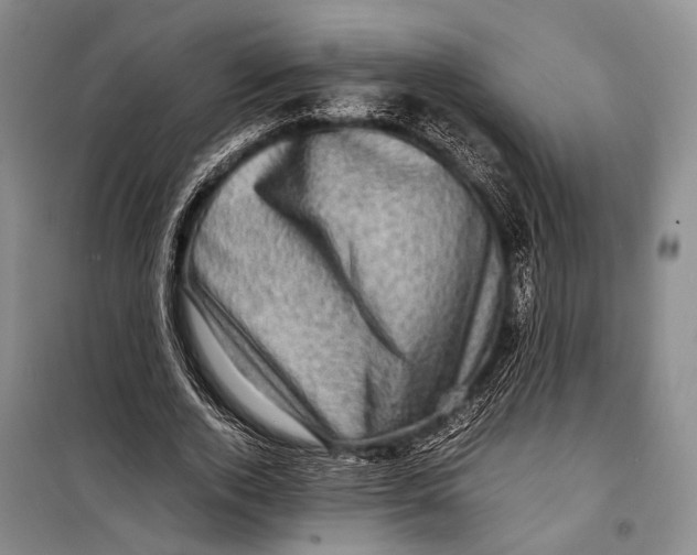 X0000098220728200805151317