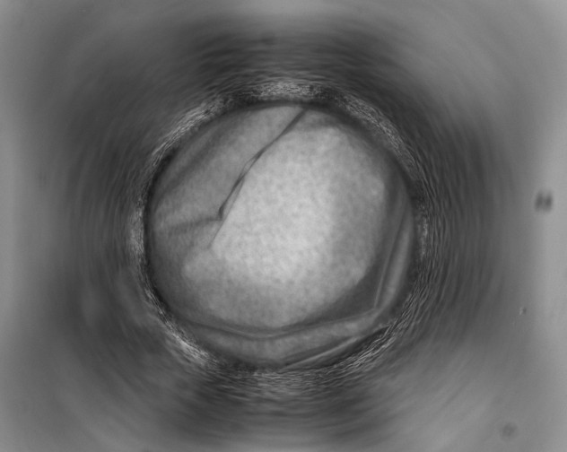 X0000098220729200805151317