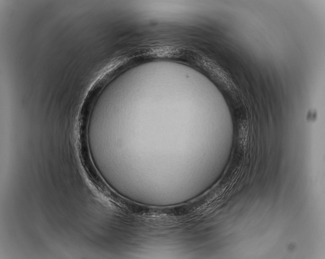 X0000098220730200805151317