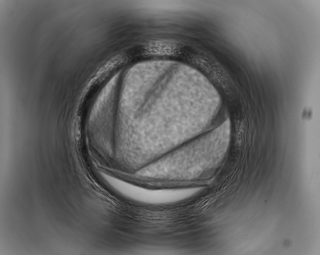 X0000098220731200805151317