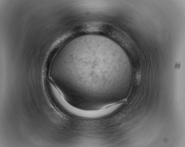 X0000098220732200805151317