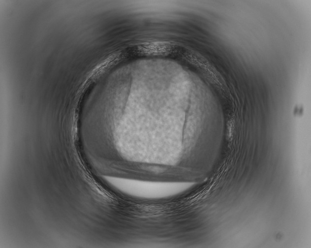 X0000098220733200805151317