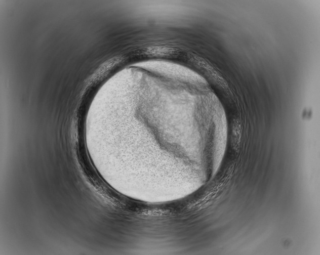 X0000098220734200805151317