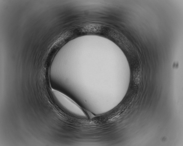 X0000098220735200805151317