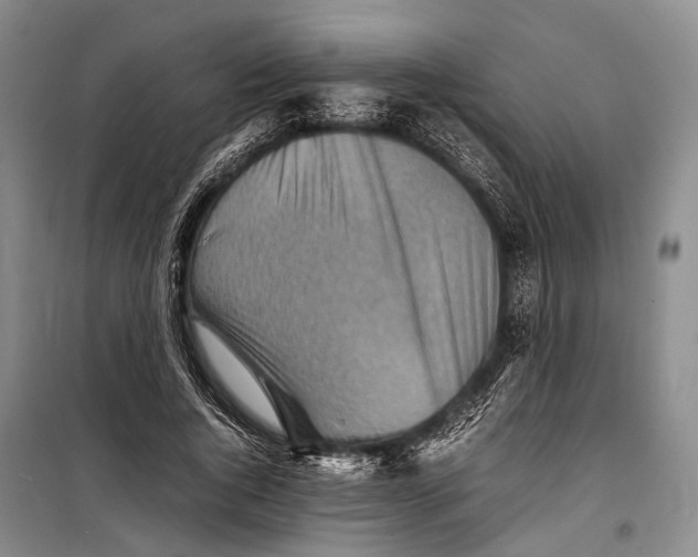 X0000098220736200805151317