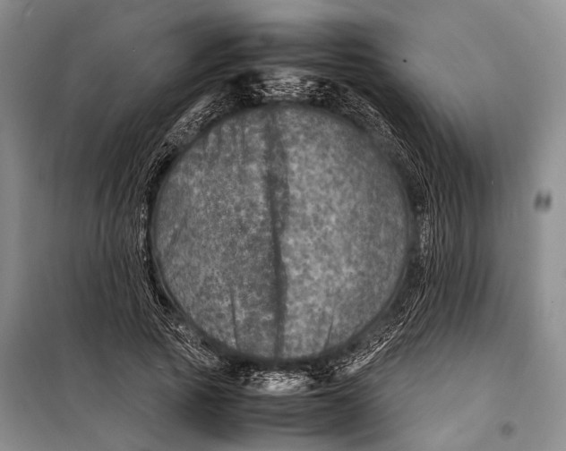 X0000098220737200805151317