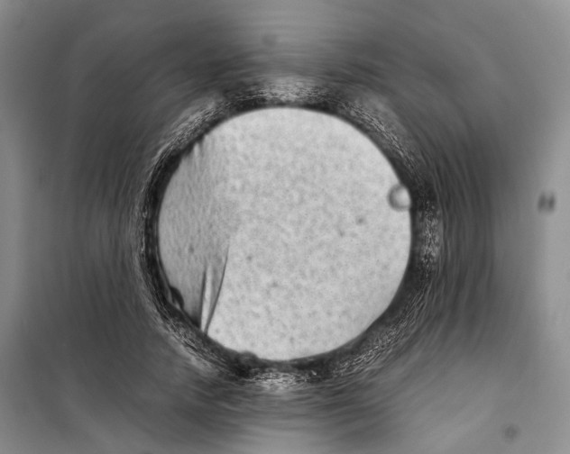 X0000098220738200805151317