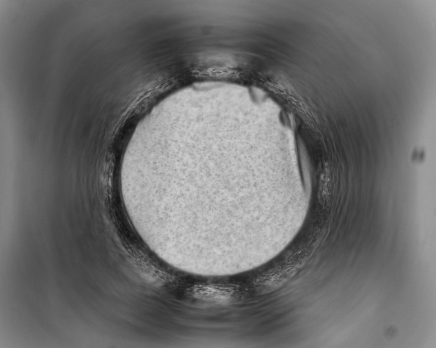 X0000098220739200805151317