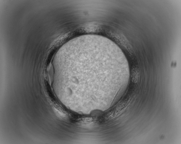 X0000098220740200805151317