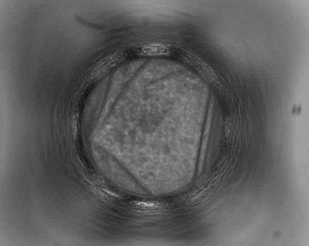 X0000098220741200805151317