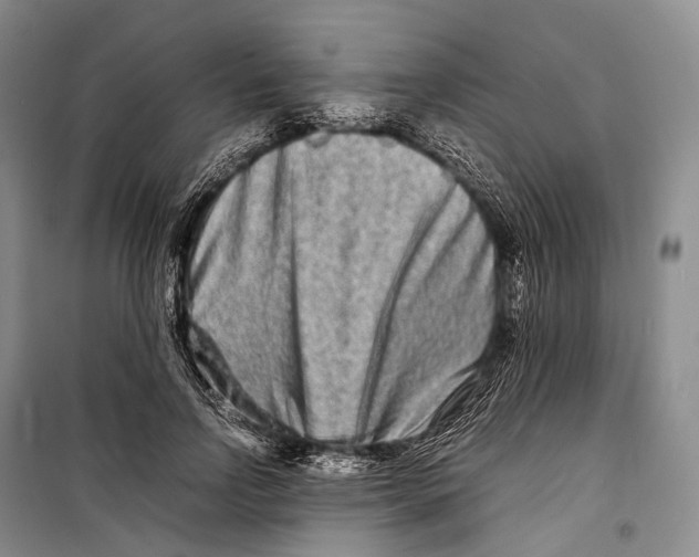 X0000098220742200805151317