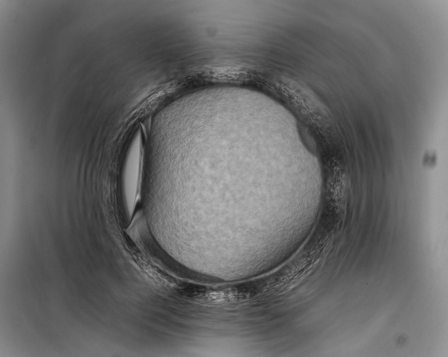 X0000098220744200805151317