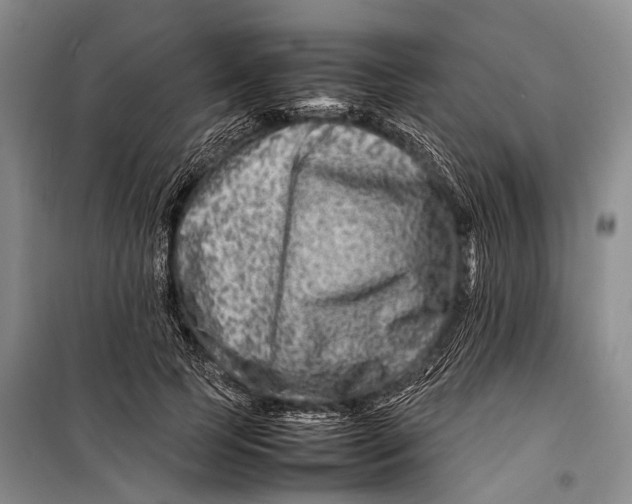 X0000098220745200805151317