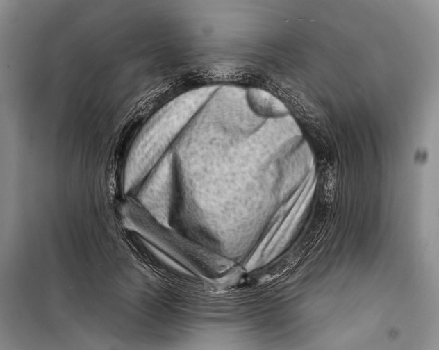 X0000098220746200805151317