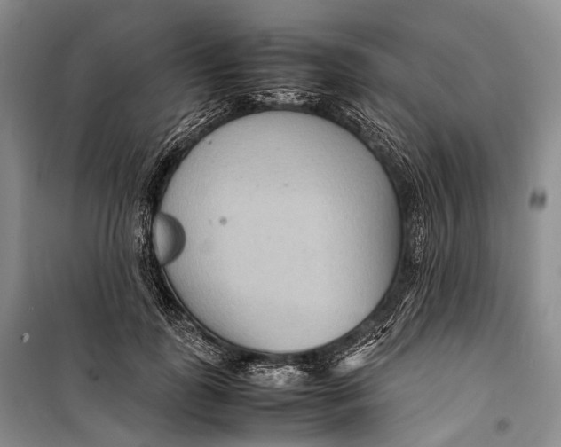 X0000098220747200805151317