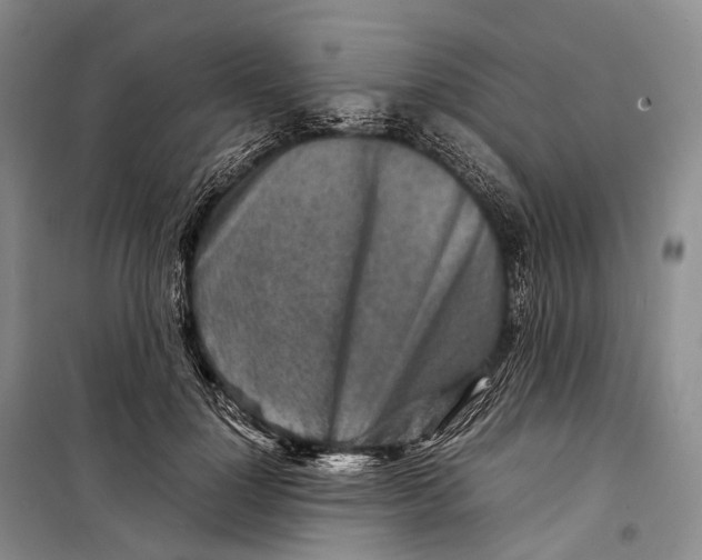 X0000098220748200805151317