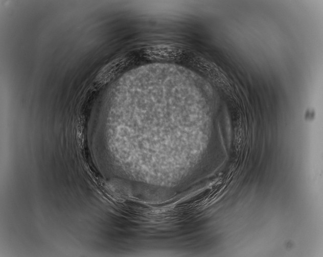 X0000098220749200805151317