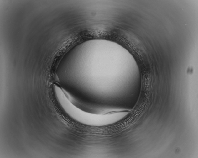 X0000098220750200805151317