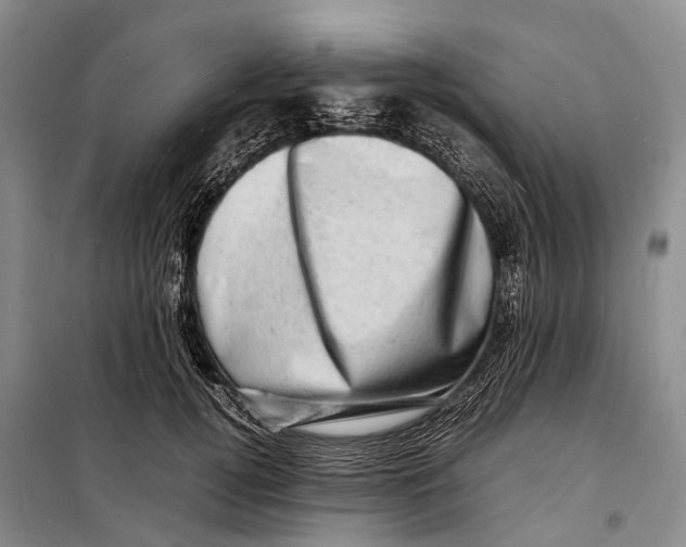 X0000098220752200805151317