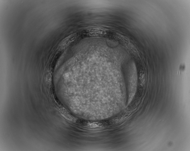 X0000098220753200805151317