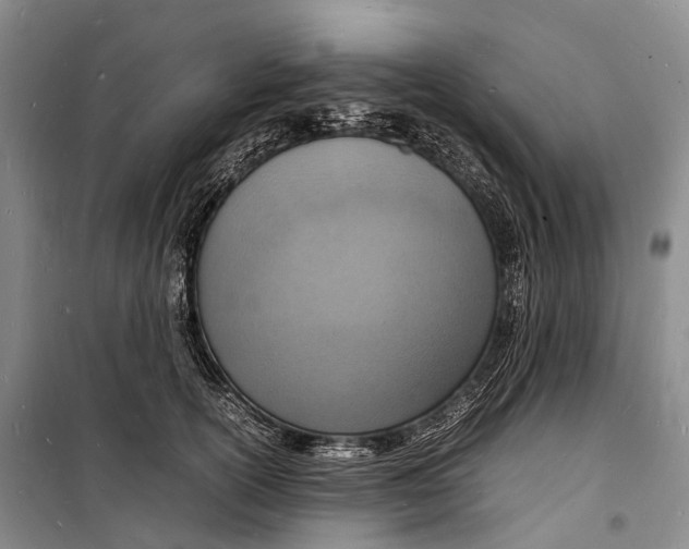 X0000098220754200805151317