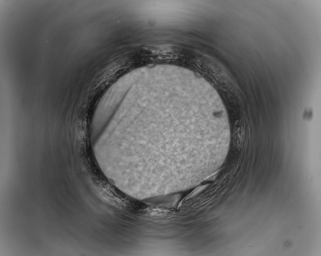 X0000098220756200805151317