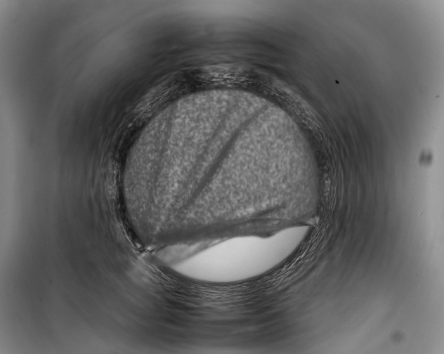 X0000098220757200805151317