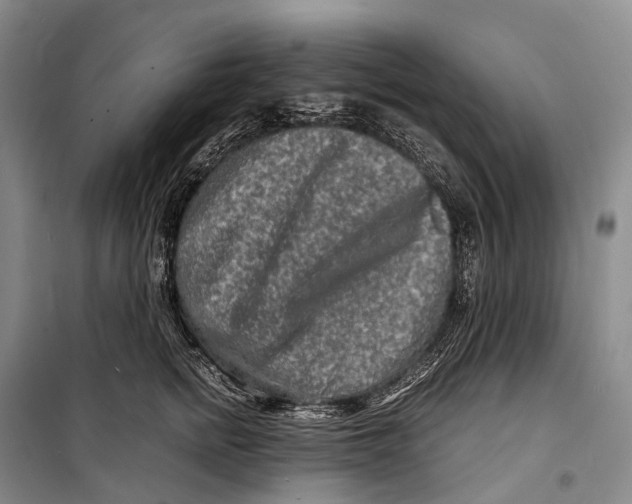 X0000098220758200805151317