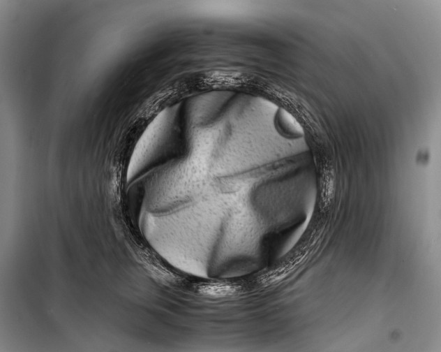 X0000098220759200805151317