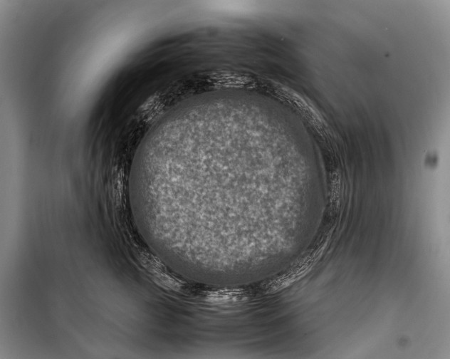 X0000098220761200805151317