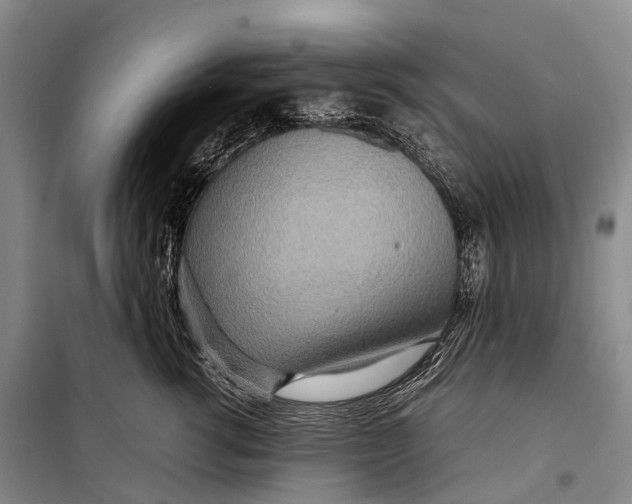 X0000098220762200805151317