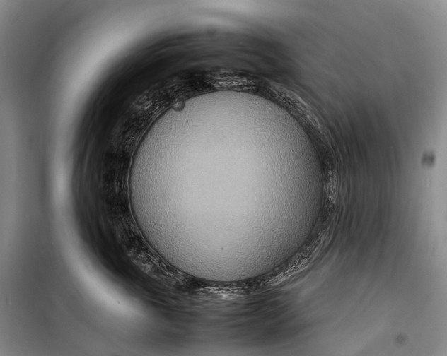 X0000098220763200805151317