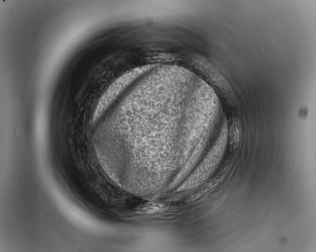 X0000098220764200805151317