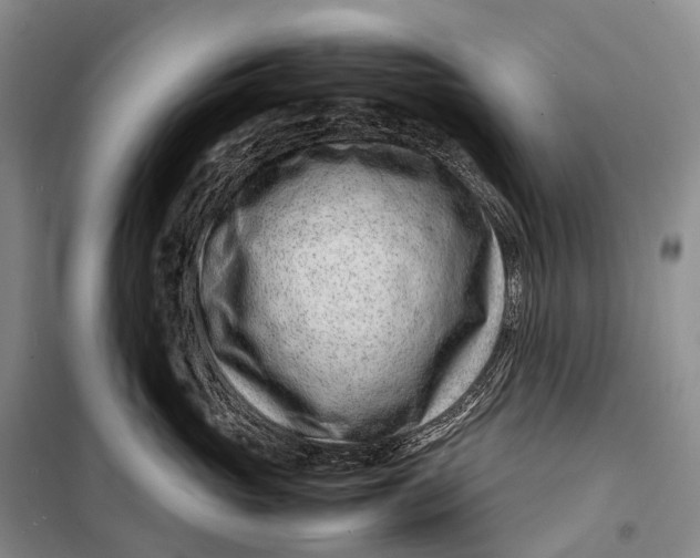 X0000098220765200805151317