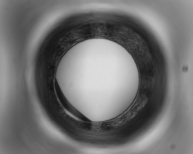 X0000098220766200805151317