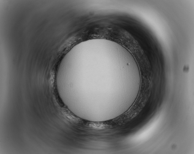 X0000098220767200805151317