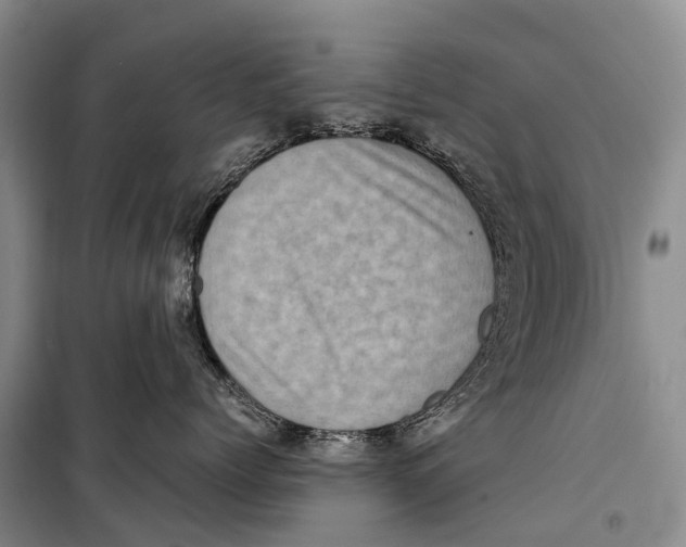 X0000098220768200805151317