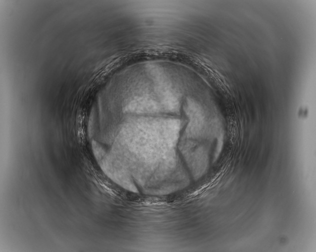 X0000098220770200805151316