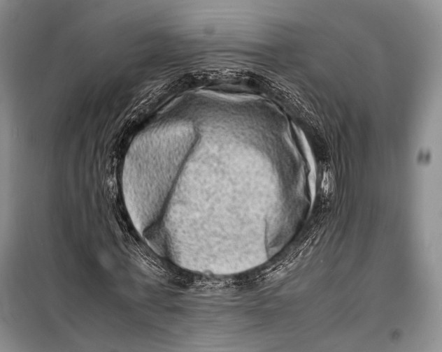 X0000098220771200805151316