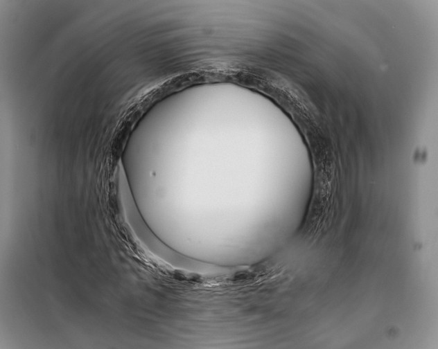 X0000098220773200805151316