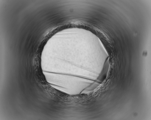 X0000098220776200805151316