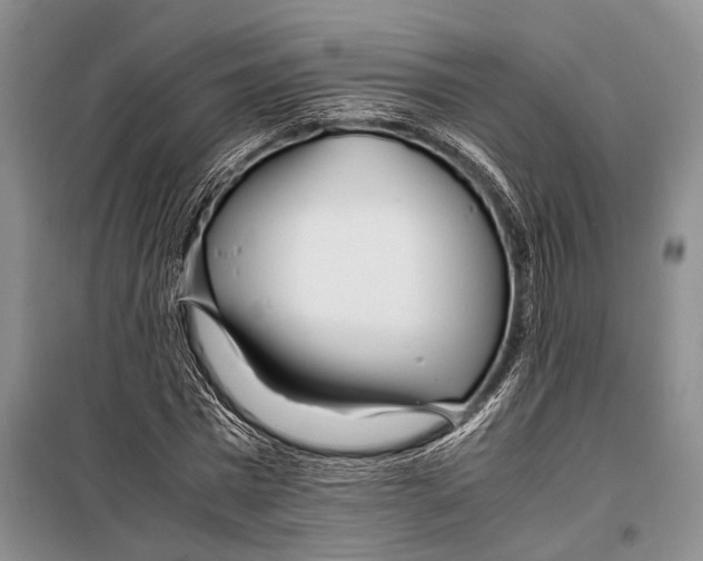 X0000098220777200805151316