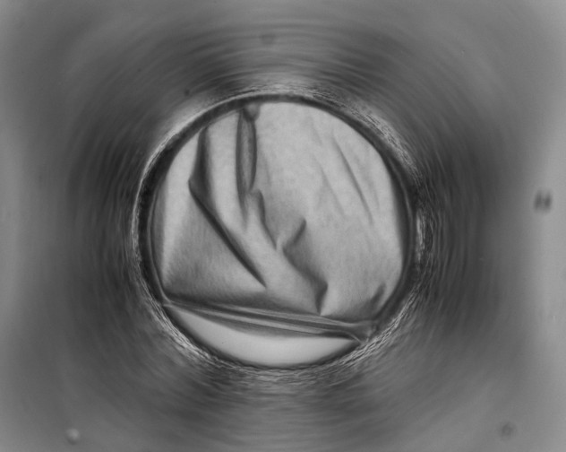 X0000098220780200805151316