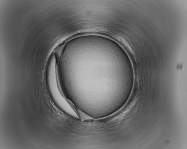 X0000098220781200805151316